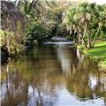 Dawlish Manor1